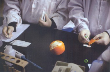 2013年3月28日，北京智云達(dá)科技有限公司食品安全快檢實(shí)驗(yàn)室，技術(shù)員正在檢測橙子表皮的農(nóng)藥殘留是否超標(biāo)